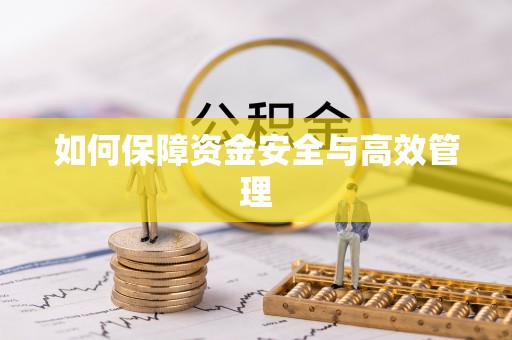 沙坪坝如何保障资金安全与高效管理