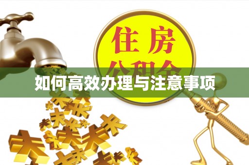 沙坪坝如何高效办理与注意事项