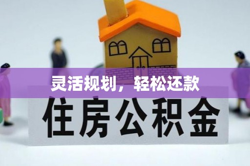 沙坪坝灵活规划，轻松还款