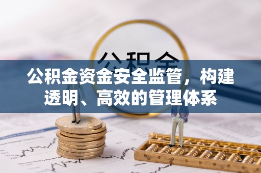 沙坪坝公积金资金安全监管，构建透明、高效的管理体系