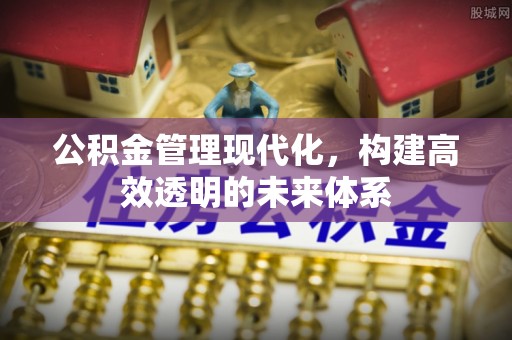 沙坪坝公积金管理现代化，构建高效透明的未来体系
