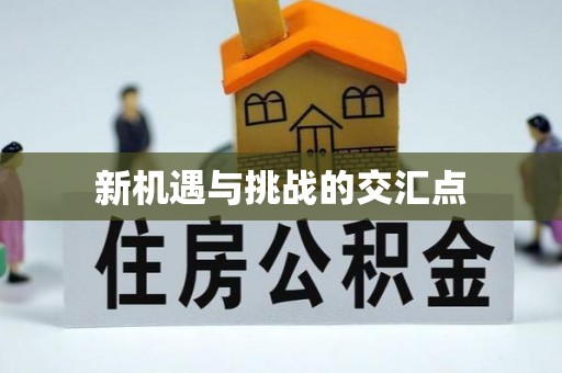 沙坪坝新机遇与挑战的交汇点