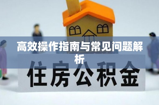 沙坪坝高效操作指南与常见问题解析