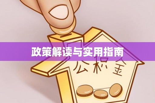 沙坪坝政策解读与实用指南