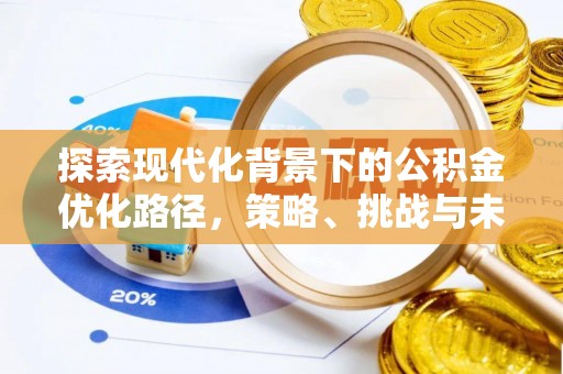 沙坪坝探索现代化背景下的公积金优化路径，策略、挑战与未来展望
