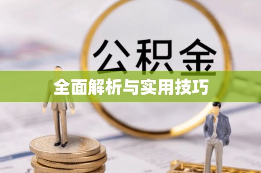 沙坪坝全面解析与实用技巧