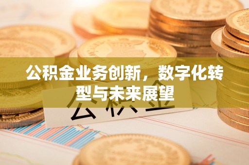 沙坪坝公积金业务创新，数字化转型与未来展望