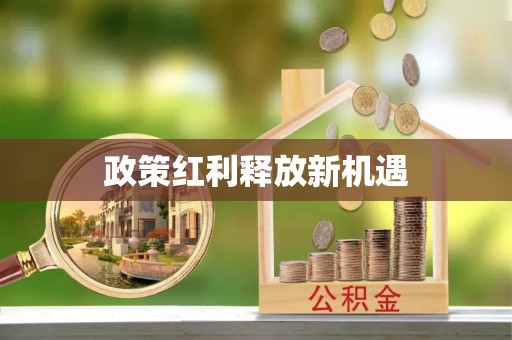 沙坪坝政策红利释放新机遇