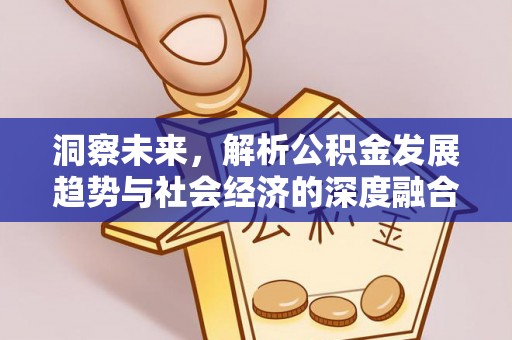 沙坪坝洞察未来，解析公积金发展趋势与社会经济的深度融合