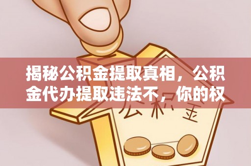 沙坪坝揭秘公积金提取真相，公积金代办提取违法不，你的权益如何保障？
