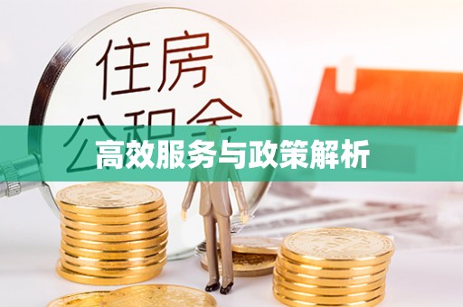 沙坪坝高效服务与政策解析