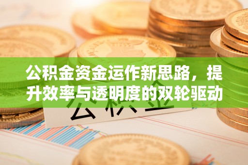 沙坪坝公积金资金运作新思路，提升效率与透明度的双轮驱动