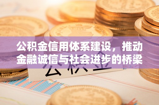 沙坪坝公积金信用体系建设，推动金融诚信与社会进步的桥梁
