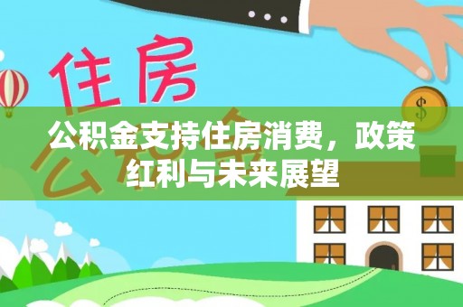 沙坪坝公积金支持住房消费，政策红利与未来展望