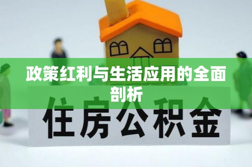 沙坪坝政策红利与生活应用的全面剖析