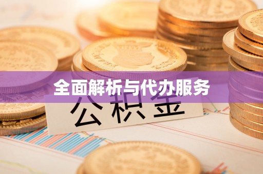 沙坪坝全面解析与代办服务
