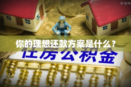 沙坪坝你的理想还款方案是什么？