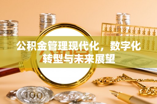 沙坪坝公积金管理现代化，数字化转型与未来展望