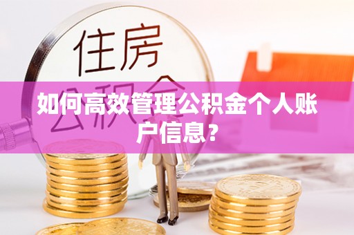 沙坪坝如何高效管理公积金个人账户信息？