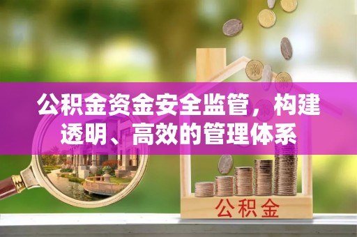 沙坪坝公积金资金安全监管，构建透明、高效的管理体系