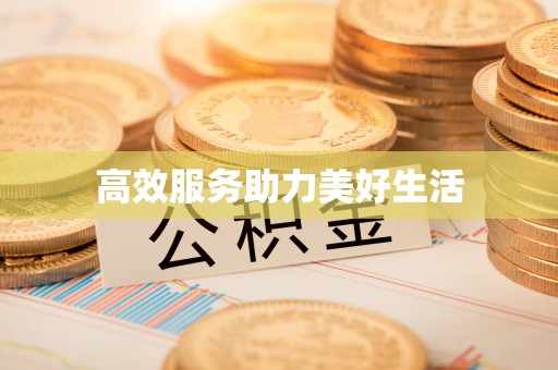沙坪坝高效服务助力美好生活