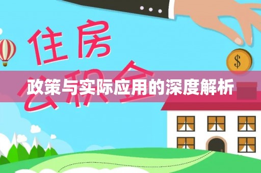沙坪坝政策与实际应用的深度解析