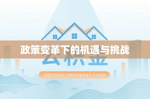 沙坪坝政策变革下的机遇与挑战