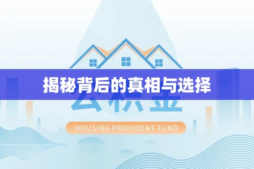 沙坪坝揭秘背后的真相与选择
