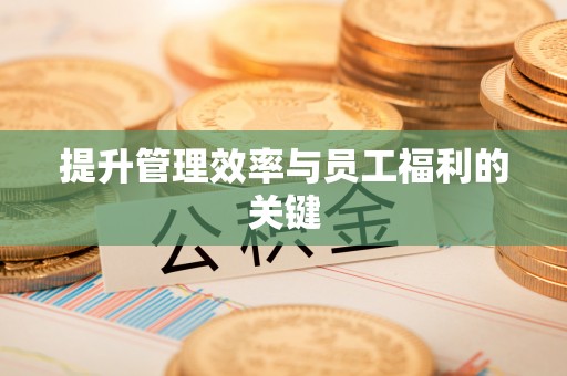 沙坪坝提升管理效率与员工福利的关键