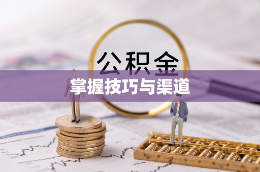 沙坪坝掌握技巧与渠道