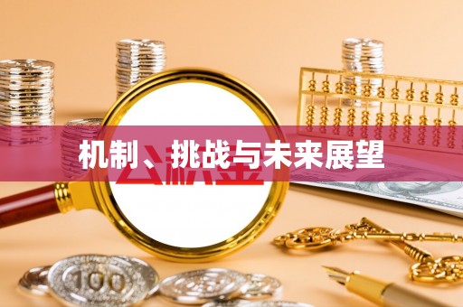 沙坪坝机制、挑战与未来展望