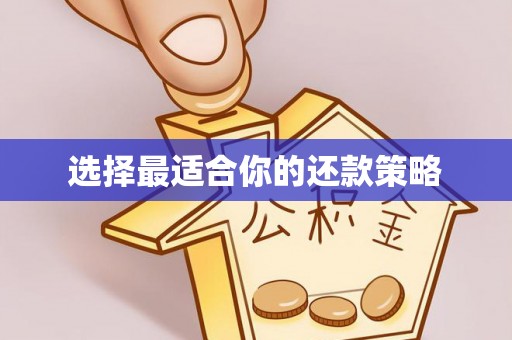 沙坪坝选择最适合你的还款策略