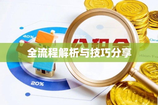 沙坪坝全流程解析与技巧分享