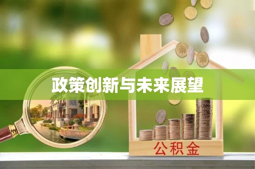 沙坪坝政策创新与未来展望