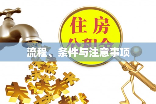 沙坪坝流程、条件与注意事项