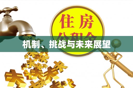 沙坪坝机制、挑战与未来展望
